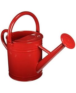 Bote de agua de metal de estilo clásico con diseño vintage utilizado para la decoración del hogar de granja rústica - Product Image 1