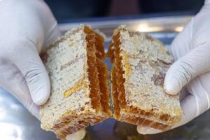 Peigne multi-fleurs premium miel du Vietnam pour l'exportation - Product Image 2