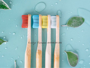 Brosse à dents en bambou au charbon de bois jetable écologique en vrac en gros avec logo personnalisé bon prix au Vietnam - Product Image 5