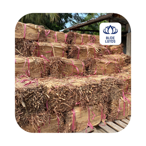 Matière première de fibre de jacinthe d'eau séchée pour diverses applications - Product Image 2