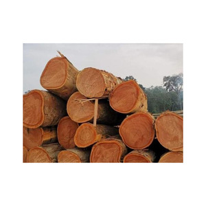 Fourniture en vrac de bûches de bois sapele de qualité supérieure pour revêtements de sol et meubles - Product Image 6