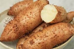 Igname PURE CONGELÉE PROVENANT DE FERMES NATURELLES/INGRÉDIENT D'ALIMENTATION COMPLÈTE/TRANSFORMATION MINIMALE/CONVIENT AUX RÉGIMES VÉGAN - Product Image 2