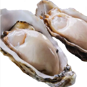 Chất Lượng Cao Đông Lạnh Hải Sản Tươi Sống Lớn Hàu Để Bán Hàu Đông Lạnh Hải Sản Nhập Khẩu Số Lượng Lớn Đông Lạnh Hàu Với Vỏ - Product Image 1