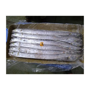 ปลาริบบิ้นสดแช่แข็งทั้งตัว ราคาขายส่งที่ดีที่สุดในตลาด - Product Image 4