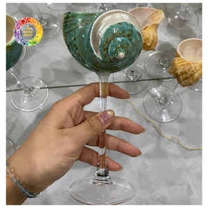 Premium fait à la main Shell Cup Cocktail Drinkware Eco Friendly Unique Seashell Design Wholesale Export - Product Image 4