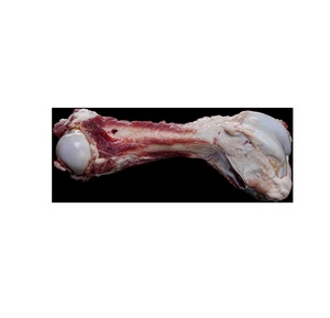 Frozen <b>Beef</b> Bones Wholesale <b>Beef</b> Knee Bones | Halal <b>Beef</b> Meat - Product Image 1