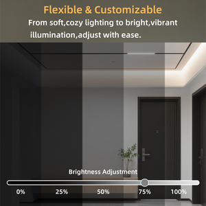 Tùy chỉnh 24V Flex ws2811 <span class=keywords><strong>LED</strong></span> <span class=keywords><strong>Strip</strong></span> 120 <span class=keywords><strong>LED</strong></span>/<span class=keywords><strong>M</strong></span> chạy nước chảy chạy <span class=keywords><strong>LED</strong></span> <span class=keywords><strong>Strip</strong></span> Lights với Touch Panel điều khiển 10m 20m - Product Image 5