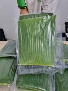 ใบกล้วยสดแช่แข็งขายส่งสำหรับบรรจุภัณฑ์อาหารเอเชียและการนึ่ง - Product Image 5