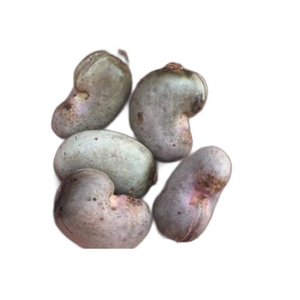 Usine de noix de cajou brutes pour l'industrie de transformation Norme de noix de cajou brutes biologiques pour l'exportation aux États-Unis - Product Image 2