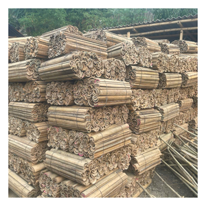 Bambú partido para exportación, material de suministro con forma recta y calidad consistente para mercados extranjeros - Product Image 1