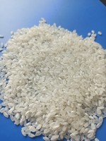 Riz blanc Calrose à grains moyens, 5% de brisures, texture ferme, 100% pur, durée de conservation de 2 ans, séché par procédé AD, Vietnam, Riz du Mékong du Sud, Dernière récolte