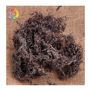 Poudre d'algues Sargassum en vrac et engrais d'algues vertes, poudre d'algues vertes pour les cultures, algues Sargassum en vrac - Product Image 6