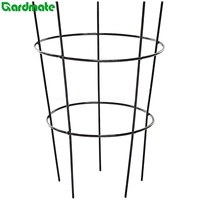 Cage en métal pour pivoines de jardin Support pour plantes 2 packs Cadre de cage pour plantes vivaces de jardin Articles décoratifs de jardin