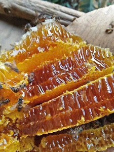 สารให้ความหวานรังผึ้งคุณภาพสูงสารให้ความหวานธรรมชาติจากน้ำผึ้งและขี้ผึ้ง500กรัมสารให้ความหวานจากรังผึ้งจริง: 500กรัม - Product Image 4