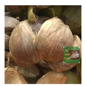 COQUE DE NOIX DE COCO CRUE SÉCHÉE DE HAUTE QUALITÉ POUR L'EXPORTATION DE L'INDUSTRIE ARTISANALE ET DU CHARBON CHARBON DE BARBECUE - Product Image 4