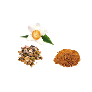 Extracto Seco de Nagkeshar 5:1, Polvo Herbal Estandarizado para Apoyo Natural de la Salud, Refuerzo del Sistema Inmunológico y Bienestar General - Product Image 4