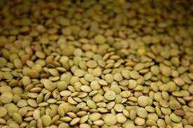 Lentejas verdes enteras disponibles para la venta a precio barato - Product Image 6