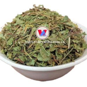 PRODUIT CHAUD 2024 SEC CHAUD/CENTELLA UTILISÉ POUR LA FABRICATION DE THÉ POUR LA PURIFICATION DU CORPS ET DE NOMBREUX AUTRES UTILISATIONS COSMETIQUES - Product Image 1
