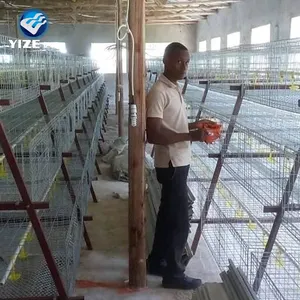 La fabbrica di Anping produce la gabbia della batteria del pollo di vendita calda automatica
