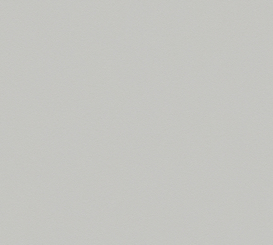 Fabriqué en Allemagne-Rouleaux de papier peint uni gris clair-Non tissé-Papier peint unicolore Décoration de la maison-10,05X0,53 m - Product Image 6