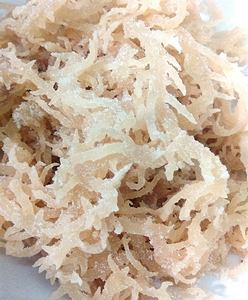 Calidad Premium Eucheuma Cottonii/Sea Moss de Vietnam - Product Image 2
