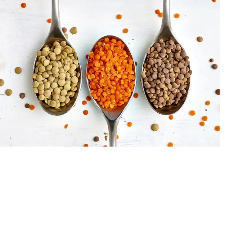 High Quality Bulk Dried whole split Lentils Red Lentils Green Lentils Lentils (Red, Green, black and white)