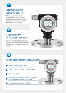 Transmisor de Presión Inteligente GPT242, Precisión del 0.1%, Rango de -100kPa a 1MPa, 4-20mA HART, IP67, SUS316L/Hastelloy C - Product Image 6