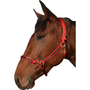 2025 Harnais d'équitation western personnalisé en gros, style anglais, en corde de nylon PP, doux, respirant, haute qualité, très vendu - Product Image 6