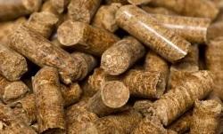 100% granulés de balle de riz Basmati naturels non adultérés sac de 25 kg Texture dure fraîche - Product Image 3