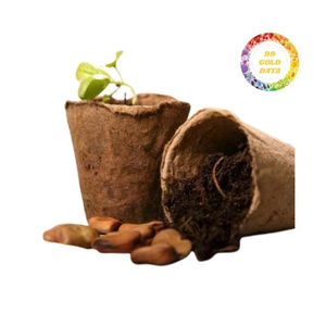 Maceta de Fibra de Coco Sostenible para Plantas de Interior y Exterior, Colgante o de Mesa, Ecológica y Duradera - Product Image 6