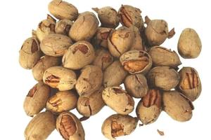 <b>Pecan</b> <b>Nuts</b> available snack producers bakeries and bulk distributors - Product Image 6
