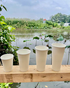 แก้วกระดาษ PE แบบใช้แล้วทิ้ง ยี่ห้อ GREEN NEST เป็นมิตรกับสิ่งแวดล้อม สำหรับเครื่องดื่มร้อน/เย็น กาแฟ ชา ปรับแต่งขนาดเส้นผ่านศูนย์กลางและโลโก้ได้ - Product Image 3