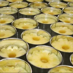 Morceaux d'ananas en conserve-Ces morceaux d'ananas viennent dans leur jus naturel