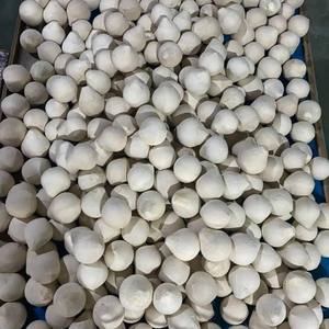 Noix de coco entière polie (Coco Fresco) - Marque TINIMEX Origine Ben Tre Douceur naturelle Durée de conservation de 40 jours - Vente en gros pour le monde - Product Image 1