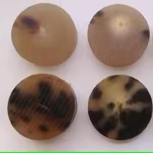 Bouton en corne véritable Prix abordable Taille personnalisée Meilleures ventes Boutons en corne de buffle Meilleur fabricant Accessoires de vêtement - Product Image 4