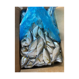 แอตแลนติก บัมเปอร์ ท็อปเกรด น้ำตาลน้อย บรรจุสุญญากาศ ขายส่งจำนวนมาก พร้อมส่งออก สำหรับผู้จัดจำหน่ายและผู้ส่งออก - Product Image 2