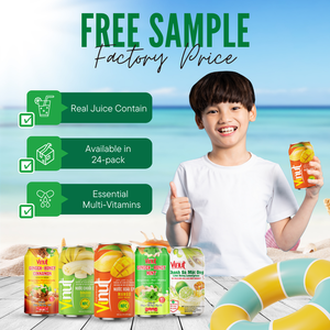 330ml de jus de mangue boisson Vietnam à partir de fruits frais prêt à expédier OEM ODM marque privée boissons en gros échantillon gratuit - Product Image 4