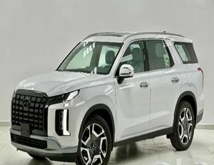 Hyundai Palisade 2024 Usado en Perfectas Condiciones, Bajo Kilometraje - Product Image 1