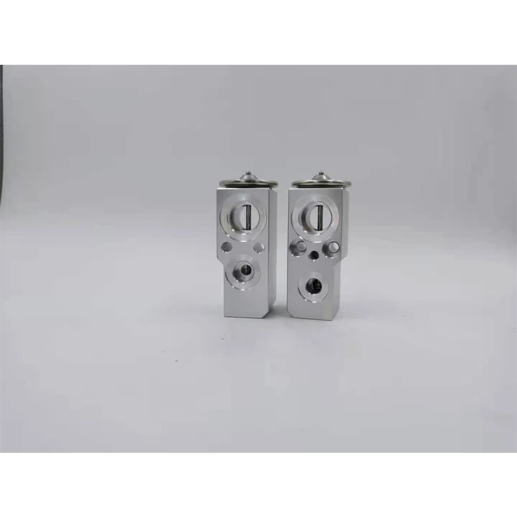 2178300084 Auto Air Conditioning Expansion Valve for