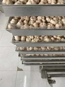 มังคุดอบแห้งกรอบ รสหวาน ขนมผลไม้อบแห้ง มังคุดอบแห้ง บรรจุภัณฑ์แบบกำหนดเอง ถุงขายปลีก 50 กรัม 100 กรัม มังคุดอบแห้งจากเวียดนาม - Product Image 4