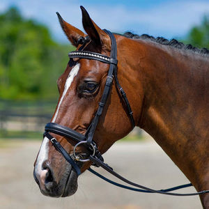 Bridon de dressage pour chevaux en cuir réutilisable de haute qualité, avec têtière rembourrée douce et personnalisation, pour un confort supplémentaire des chevaux - Product Image 4