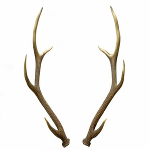 Natuurlijk Werpen Hele Edelhert Gewei Te Koop/Hert Fluweel-Hert Gewei/Edelhert Elanden Gewei Te Koop - Product Image 1