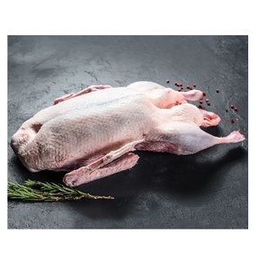 Carcasses d'oies fraîches en vrac, congelées, de haute qualité, riches en protéines, parfaites pour les restaurants, les hôtels et l'exportation en gros - Product Image 5