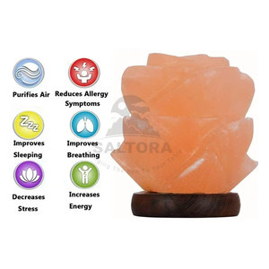 Pakistan Made Flower Shape Salt Best Product Flower Shape Salt Home Decor Flower Shape Salt Lamp - Product Image 3
