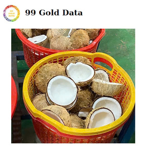 Carne de coco congelada con procesamiento IQF de Vietnam adecuada para batidos, postres, helados y empresas de fabricación de alimentos - Product Image 4