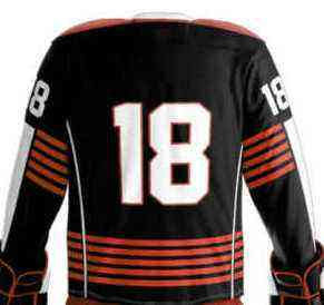 Tenues de hockey sur glace personnalisées pour équipe – Design sur mesure, écologiques, respirantes, séchage rapide, tissu durable – Équipement sportif personnalisé - Product Image 5