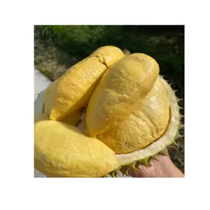 Durian 100% Natural Good Quality Competitive Price From Vietnam Supplier Durian Fresh For Sale Factory price 2023