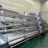 Nouvelle cage à poules pondeuses de type H à haute efficacité en acier galvanisé, équipement avicole automatique pour la production commerciale d'œufs