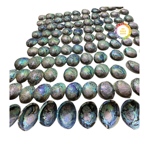 Coquille d'ormeau brute non polie avec texture naturelle pour le traitement artisanal DIY, la finition personnalisée et l'utilisation en atelier - Product Image 5