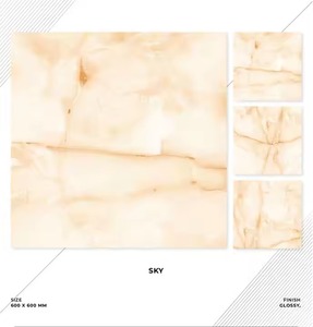 Azulejos de suelo de porcelana directa de fábrica India más vendidos 600x600MM acabado brillante uso Industrial azulejos de cerámica para suelo Interior - Product Image 2